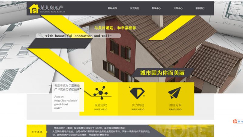 医疗行业网站建设的价值与报价解析**