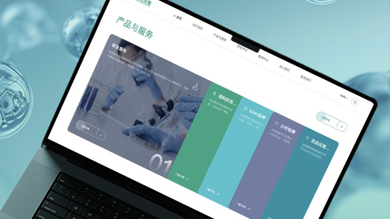 开源SEO建站系统：中小企业主的选择之道